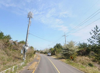 제주시 구좌읍 월정리 산 매물 대표 이미지