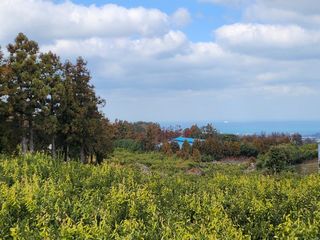 제주시 애월읍 유수암리 매물 대표 이미지