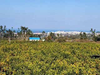 제주시 해안동 매물 대표 이미지