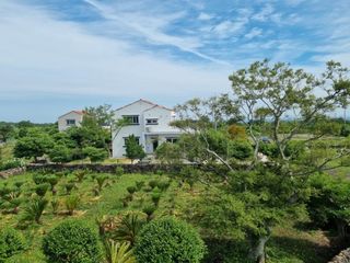 제주시 구좌읍 덕천리 매물 대표 이미지