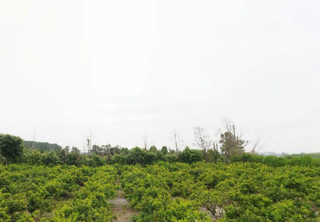 제주시 노형동 매물 대표 이미지