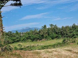 제주시 한림읍 상대리 매물 대표 이미지