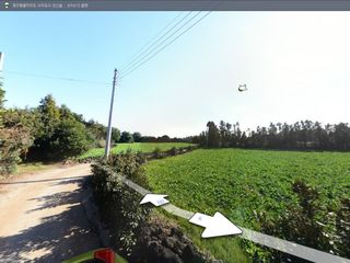 서귀포시 성산읍 고성리 매물 대표 이미지