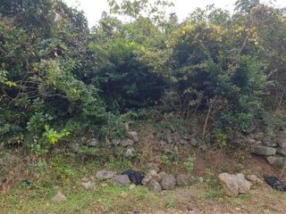 제주시 한림읍 상대리 매물 대표 이미지