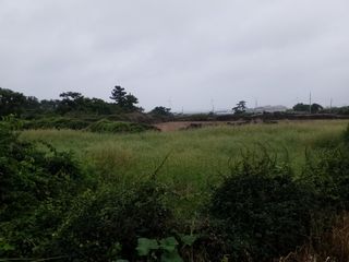 제주시 한경면 두모리 매물 대표 이미지