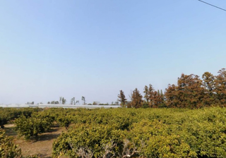 제주시 오등동 매물 대표 이미지