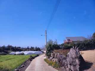 제주시 조천읍 신촌리 매물 대표 이미지