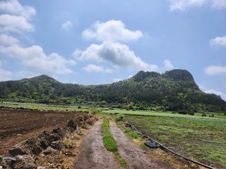 서귀포시 대정읍 인성리 매물 대표 이미지