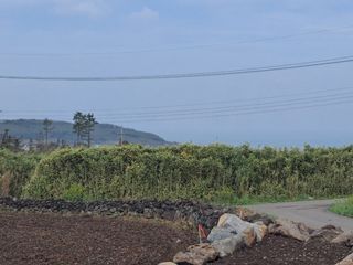 제주시 애월읍 어음리 매물 대표 이미지