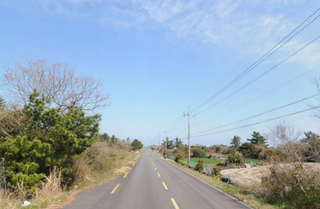 제주시 구좌읍 월정리 산 매물 대표 이미지