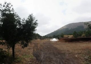 제주시 구좌읍 세화리 매물 대표 이미지