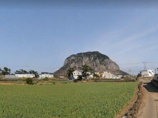 서귀포시 안덕면 사계리 매물 대표 이미지