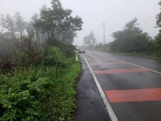 서귀포시 안덕면 상천리 매물 대표 이미지