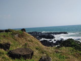 서귀포시 대정읍 신도리 매물 대표 이미지