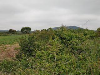 서귀포시 표선면 가시리 매물 대표 이미지