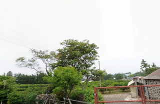 제주시 영평동 매물 대표 이미지