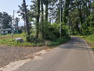 제주시 노형동 매물 대표 이미지