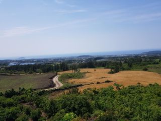 제주시 애월읍 어음리 매물 대표 이미지