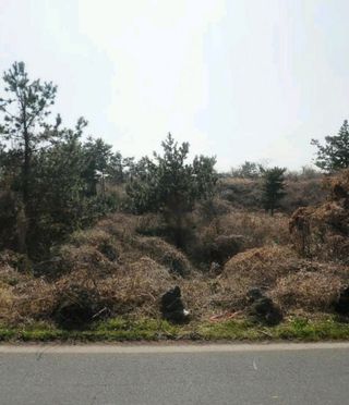 제주시 애월읍 상가리 매물 대표 이미지