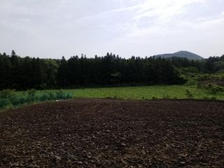 제주시 조천읍 와산리 매물 대표 이미지