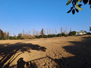 제주시 영평동 매물 대표 이미지