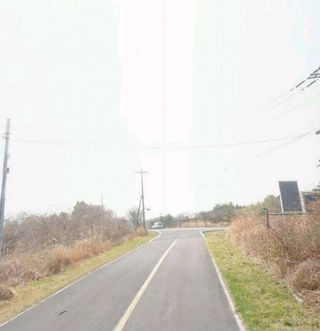 제주시 조천읍 교래리 산 매물 대표 이미지