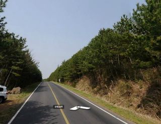 서귀포시 영남동 산 매물 대표 이미지