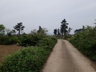 제주시 한림읍 금악리 매물 대표 이미지