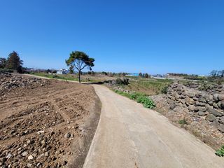 제주시 조천읍 신촌리 매물 대표 이미지