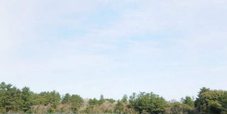 제주시 구좌읍 김녕리 산 매물 대표 이미지