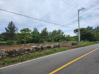 제주시 애월읍 납읍리 산 매물 대표 이미지