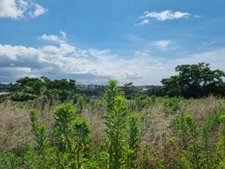 제주시 노형동 매물 대표 이미지