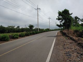 제주시 한림읍 월림리 산 매물 대표 이미지