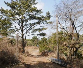 제주시 애월읍 소길리 매물 대표 이미지