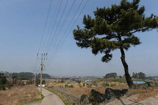 제주시 애월읍 소길리 매물 대표 이미지