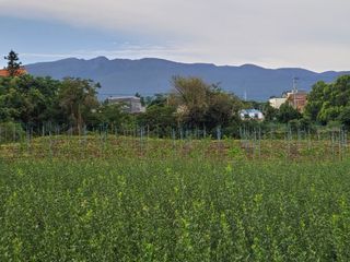 제주시 오등동 매물 대표 이미지
