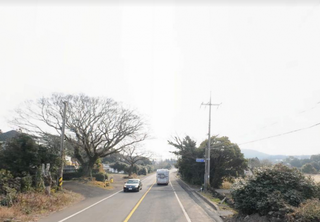 제주시 구좌읍 송당리 매물 대표 이미지