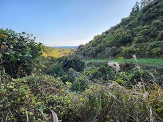 서귀포시 안덕면 감산리 매물 대표 이미지