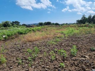 제주시 조천읍 함덕리 매물 대표 이미지