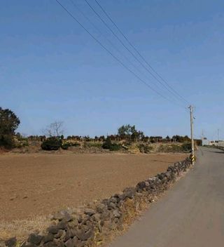 서귀포시 대정읍 신도리 매물 대표 이미지