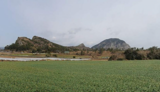 서귀포시 대정읍 상모리 매물 대표 이미지