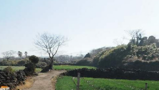 제주시 한림읍 명월리 매물 대표 이미지