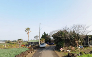 서귀포시 대정읍 영락리 매물 대표 이미지