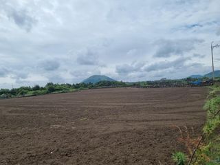 제주시 구좌읍 평대리 매물 대표 이미지