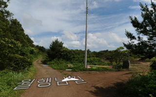 제주시 구좌읍 행원리 매물 대표 이미지