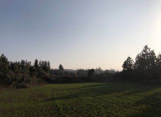 제주시 봉개동 매물 대표 이미지