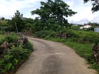 제주시 해안동 매물 대표 이미지