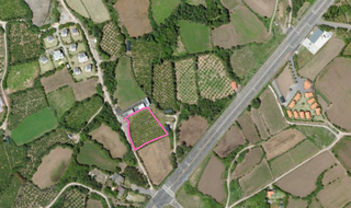 서귀포시 성산읍 신천리 매물 대표 이미지