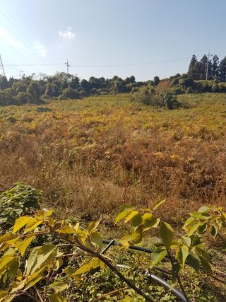 제주시 영평동 매물 대표 이미지