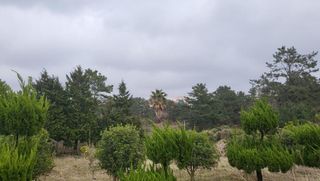 제주시 애월읍 납읍리 매물 대표 이미지